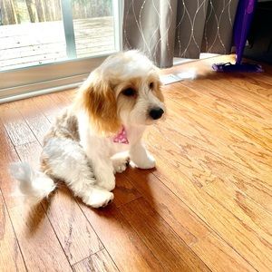 Meet your Posher, Francesca